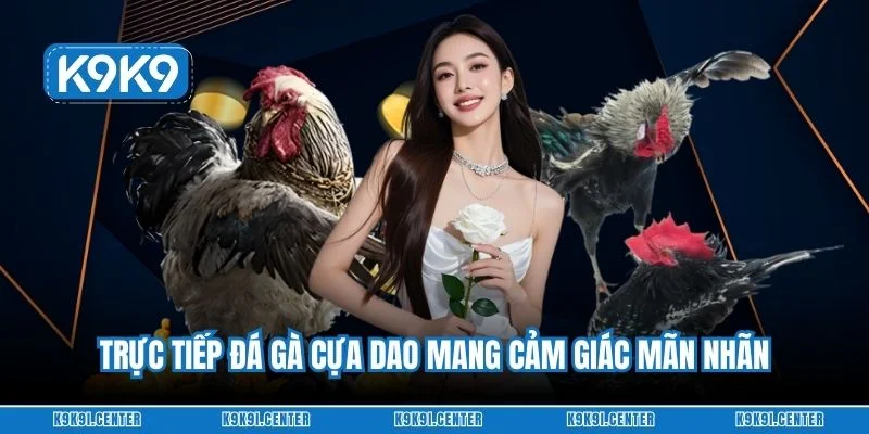 Trực tiếp đá gà cựa dao mang cảm giác mãn nhãn